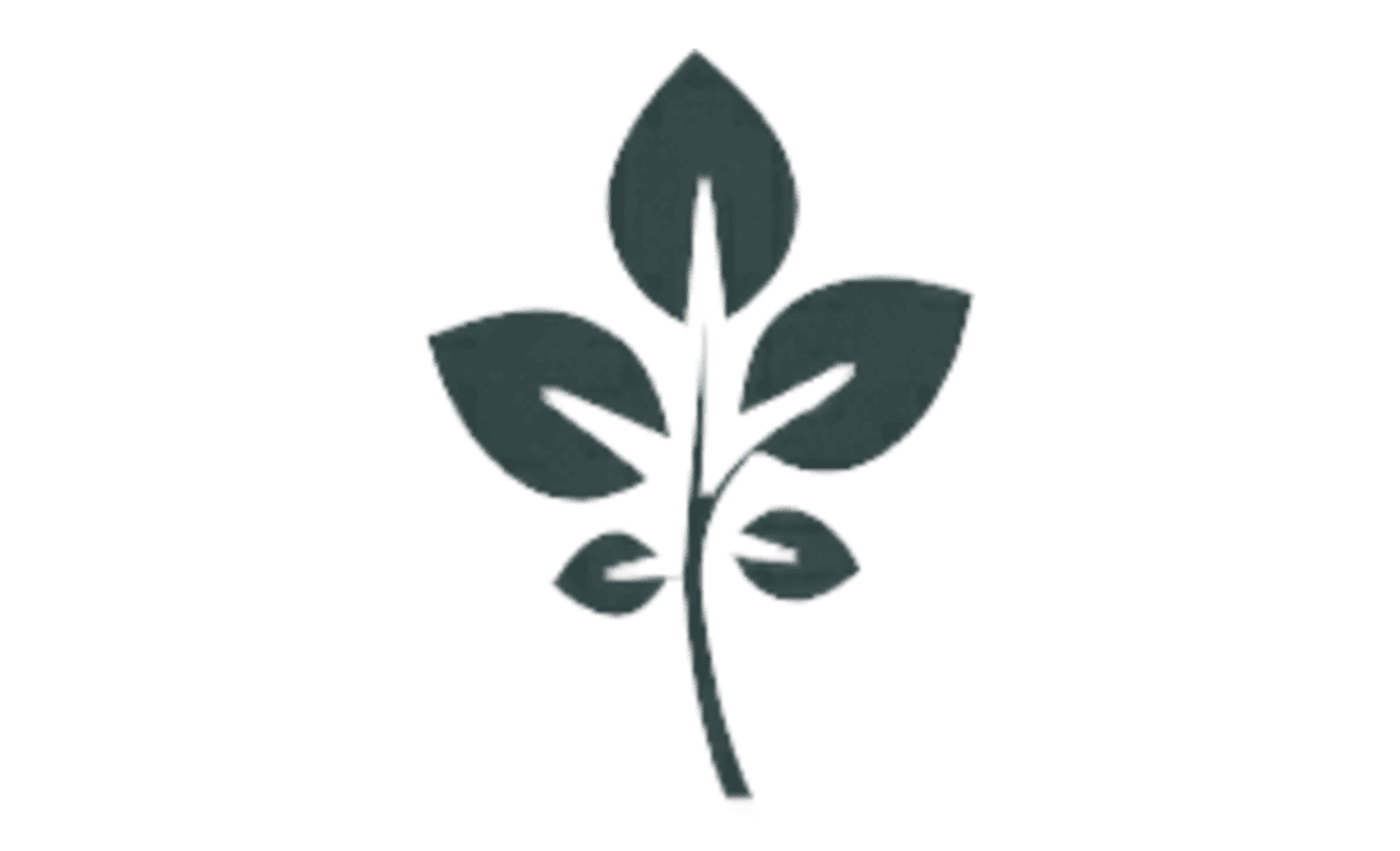 GrapeVine Social